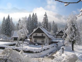 Ferienwohnung Bohinjsko jezero Apartmaji ALP picture 2